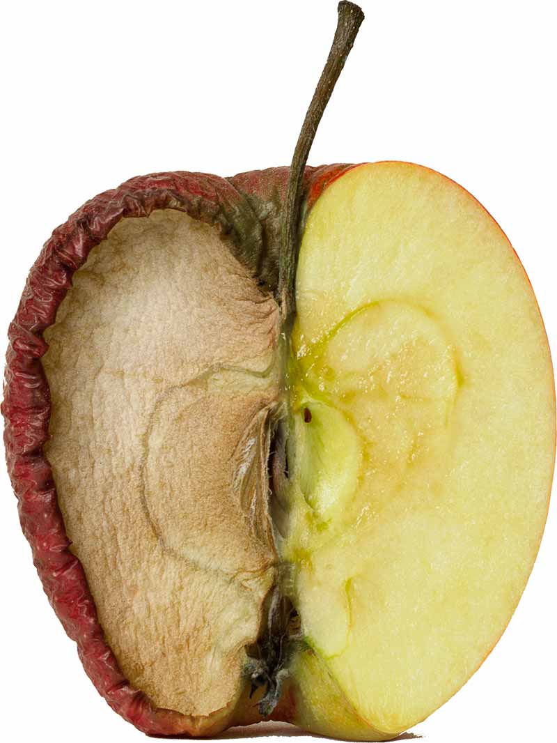 Æble - venstre halvdel udtørret